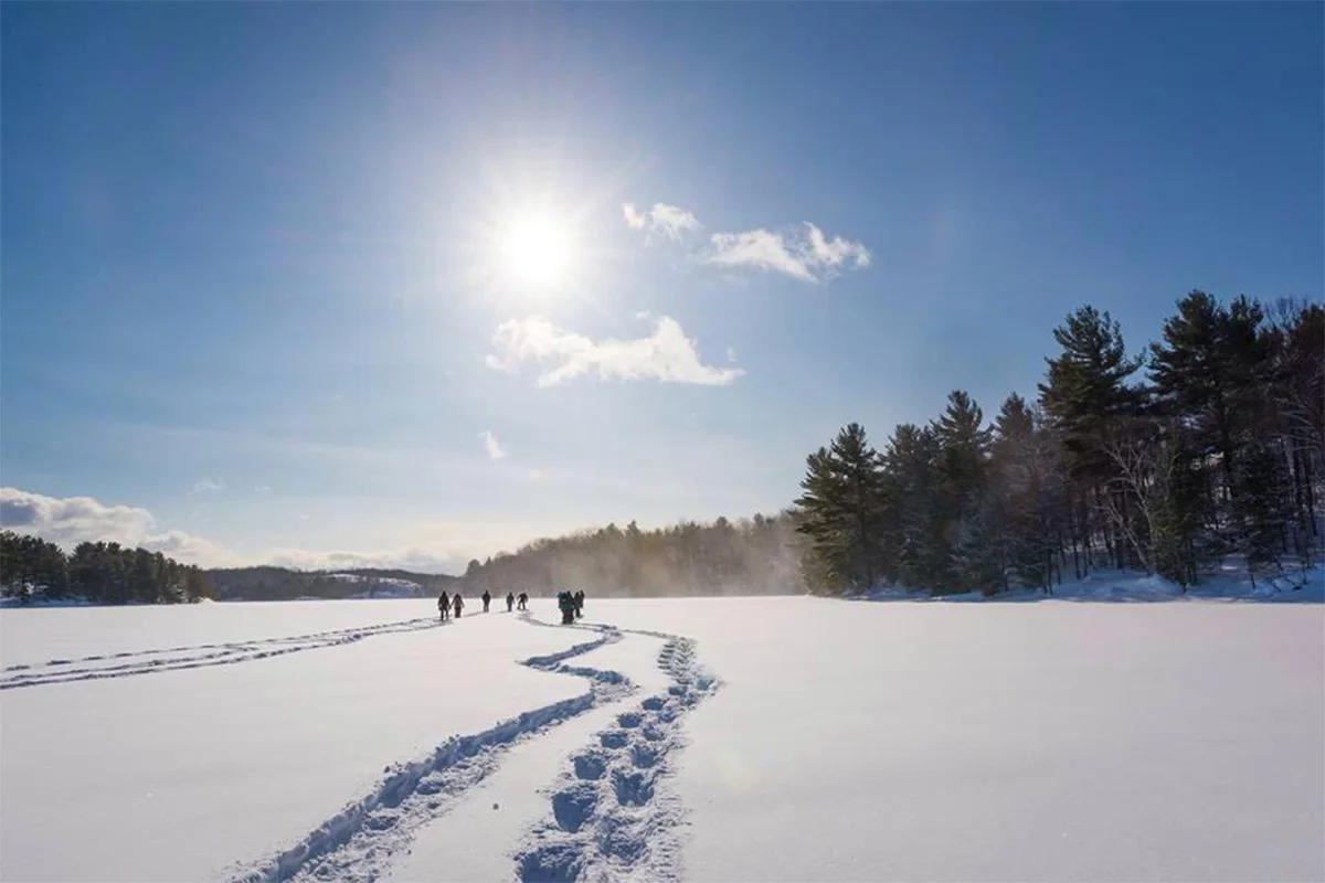 a trail of footprints in the snow with sun